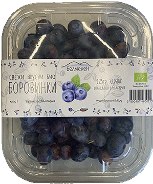 Fresh Blueberries